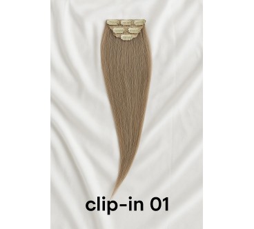 Clip-in – CI01