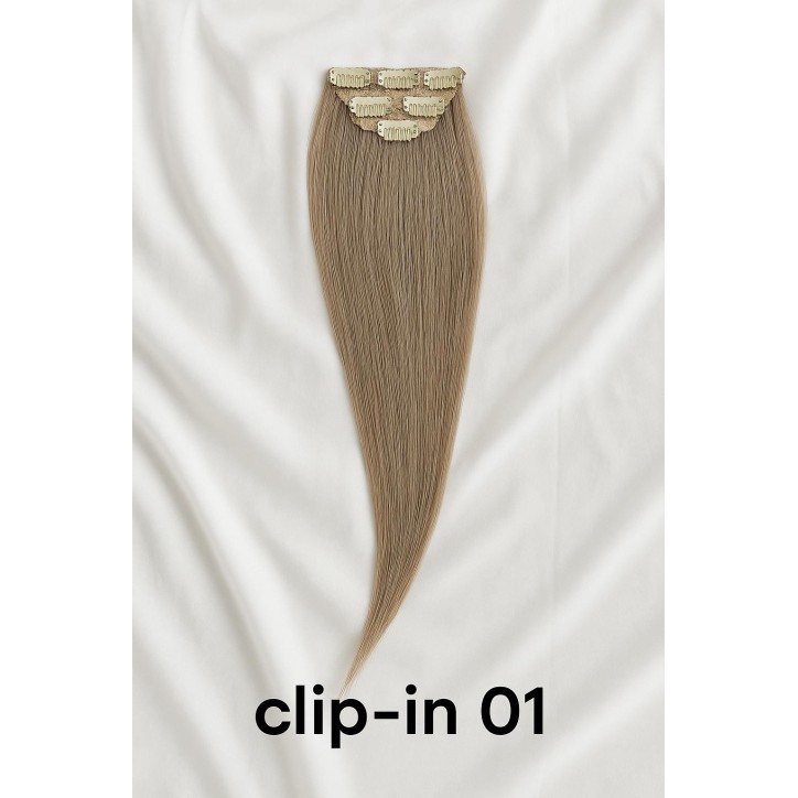 Clip-in – CI01