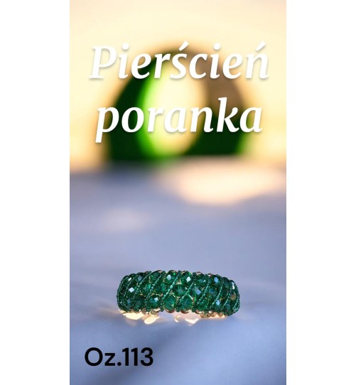 Ozdoba OZ113