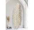 Kuc C 25 Platynowy blond